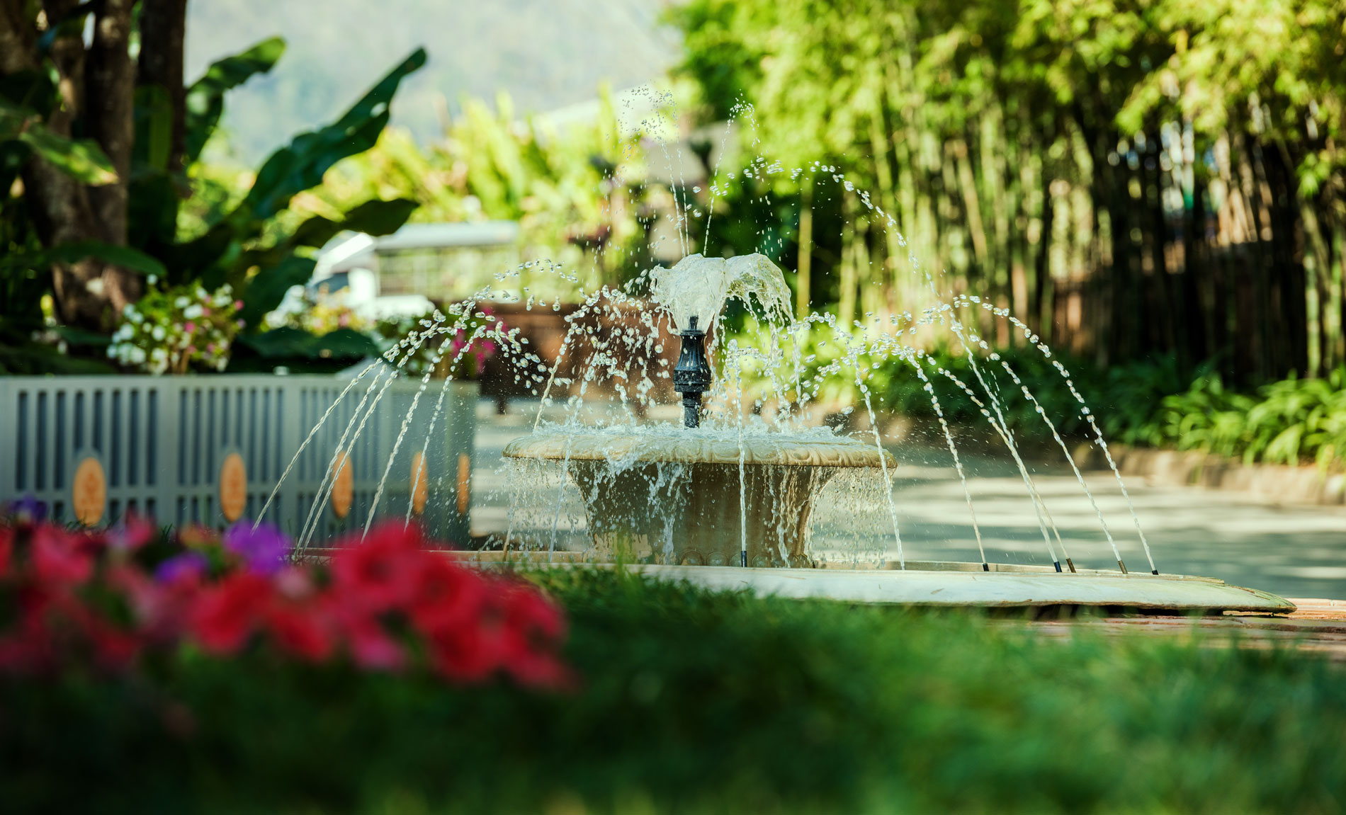 lorem ipsum dolor sit